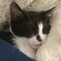 User profile image