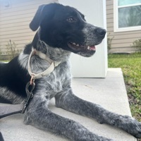 User profile image