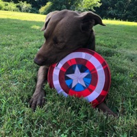 User profile image