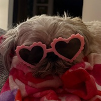 User profile image