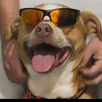User profile image