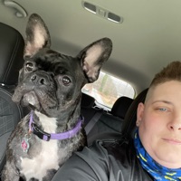 User profile image