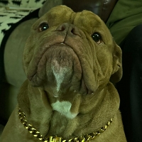 Arthur