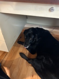 Ben