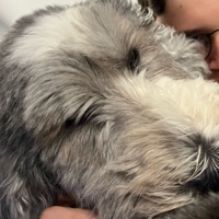 User profile image