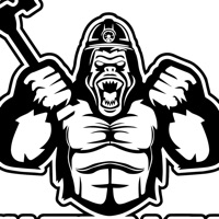 SilverbacksNYC