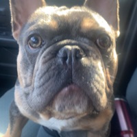 User profile image