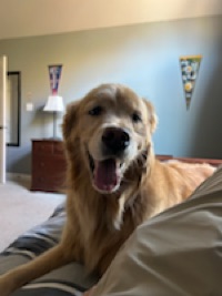Colin