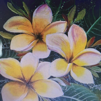 Sue Peters