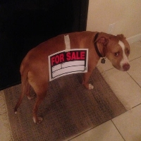 Esco