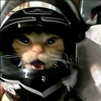 User profile image