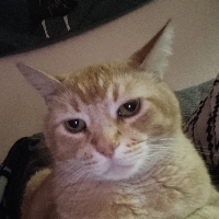 Trevor