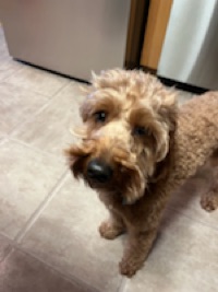 Russell