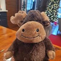 Carter