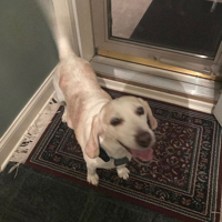 Stephen