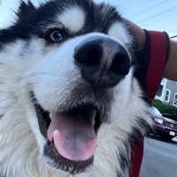User profile image