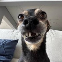 User profile image
