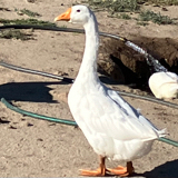 User profile image
