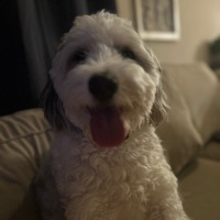 Logan