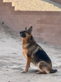 User profile
