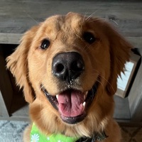 Brayden Ayers