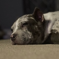 User profile image