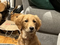 Luke
