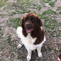 User profile image