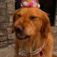 User profile image