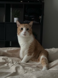 Pat