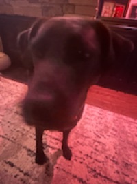 Austin