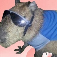 User profile image