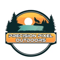 PrecisionPixel