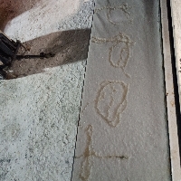 MeltonCardRipz