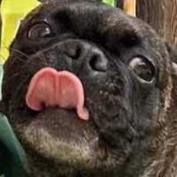 User profile image