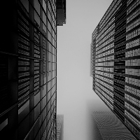 Brandon Wolfe