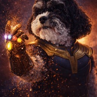 User profile image