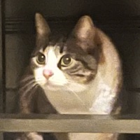 User profile image