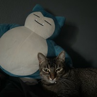 User profile