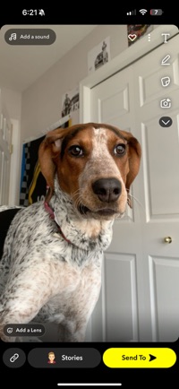 Colby White