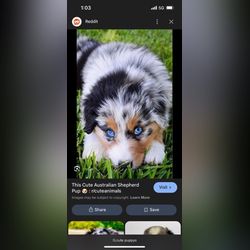 User profile image