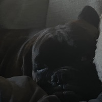 Jackson