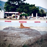 Gün Şanalan