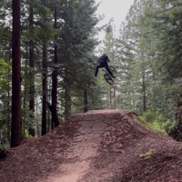 RedwoodsCards707