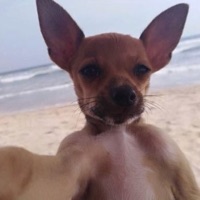 User profile image