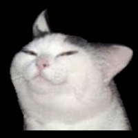 VexDevz