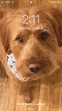 TuckertheDoodle