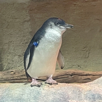 User profile image