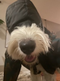 Cal
