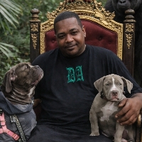 Al Robinson
